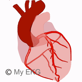Anatomía de las Arterias Coronarias