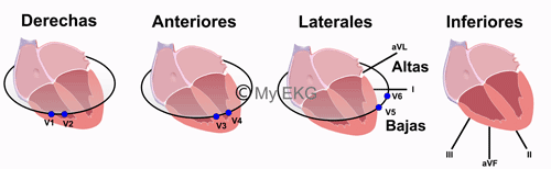 Correlación entre las Derivaciones y las paredes cardiacas
