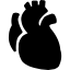 Cardiopatia Isquêmica no ECG