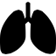 Disorders on the EKG