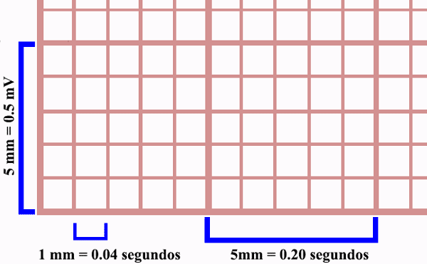 Medidas do papel de eletrocardiograma