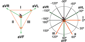 Electrocardiogram Leads and Heart Axis