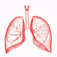 Embolie pulmonaire et électrocardiogramme
